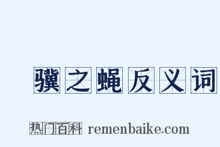 讬骥之蝇反义词是什么意思的图片